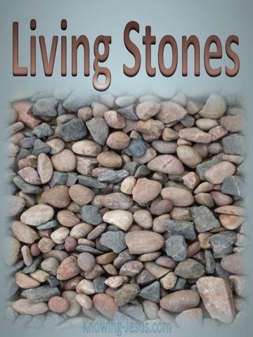 1 Peter 2:5 Living Stones (gray)